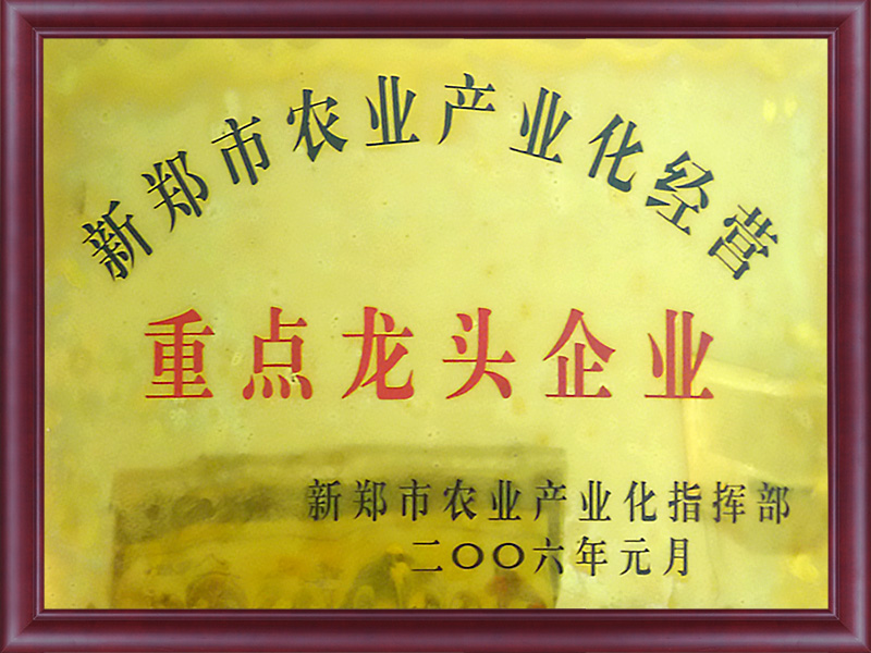 重點(diǎn)龍頭企業(yè)